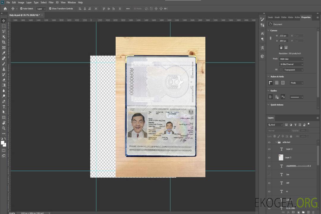 Look de photo de passeport des Émirats arabes unis template